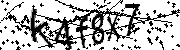 Anti-Bot verification code image